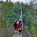 दक्षिणकालीको भाइरल पुल लोकप्रिय बन्दै