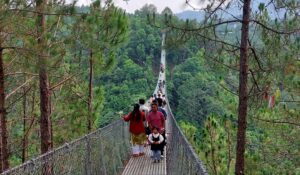 दक्षिणकालीको भाइरल पुल लोकप्रिय बन्दै