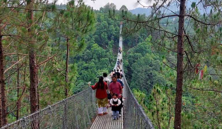 दक्षिणकालीको भाइरल पुल लोकप्रिय बन्दै